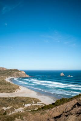 Sandfly Bay, Otago, New Zealand