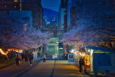 Nishi Park, 13 Nishikōen, Chuo Ward, Fukuoka, Japan