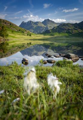 Blea Tarn, Ambleside, England