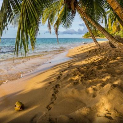 Manzanillo Beach -  Manzanillo, Costa Rica