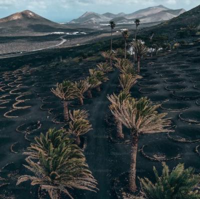 Lanzarote, Canary Islands