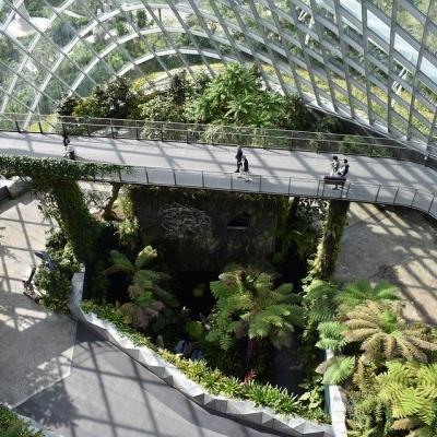Singapore Botanical Gardens