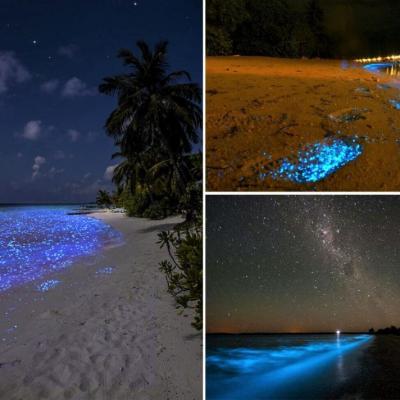 Sea of Stars, Vaadhoo Island, Maldives
