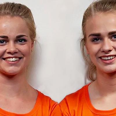 Find my doppelganger