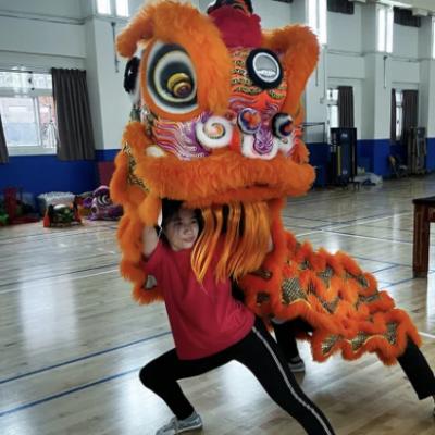 Learn to Lion Dance