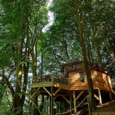 Stay overnight in a luxury tree-house