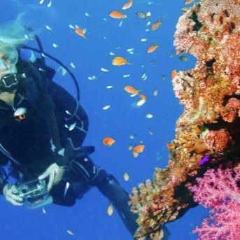 Learn to deep sea dive