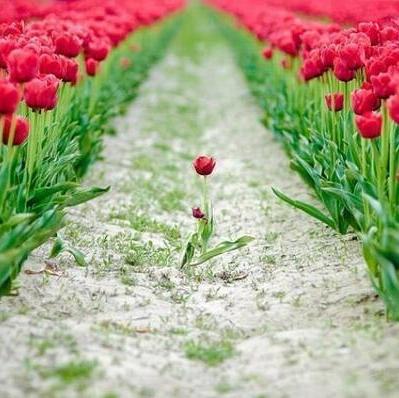 Stand out from the crowd