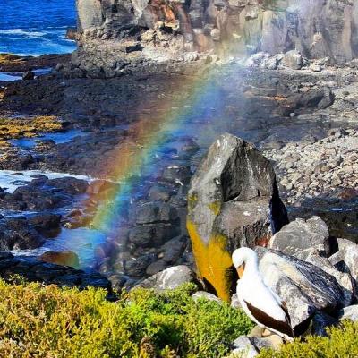 See a rainbow in a beautiful place