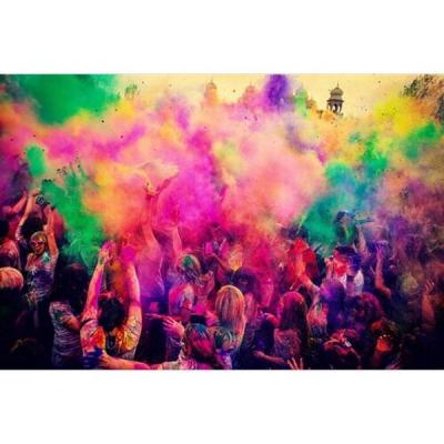 Go to a colour festival