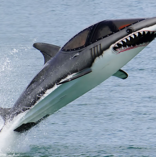 Ride in The Seabreacher