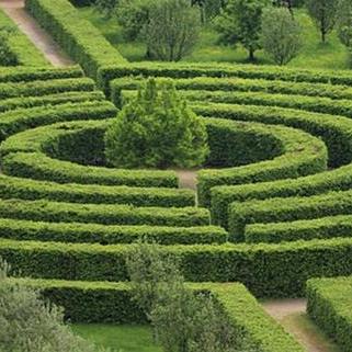 Find my way out of a maze
