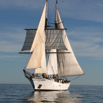 Go on a sailing ship