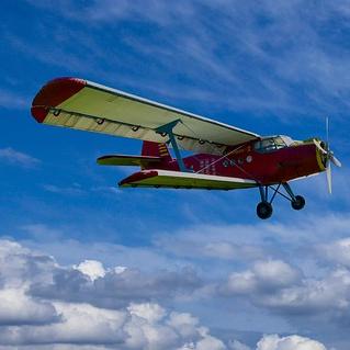 Fly in a biplane