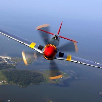 Fly an airplane solo