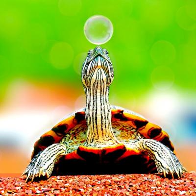 Stick my neck out for someone