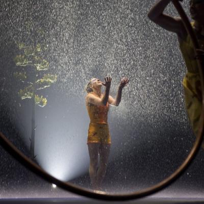 See Cirque Du Soleil Luzia
