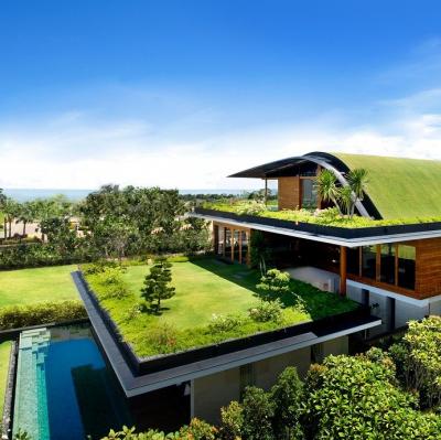 Build an eco friendly house