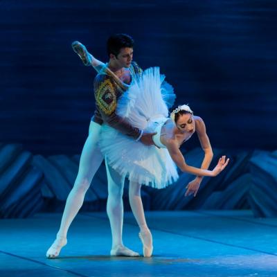 See Swan Lake