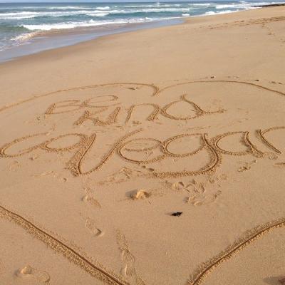 Write 100 messages in the sand at the beach