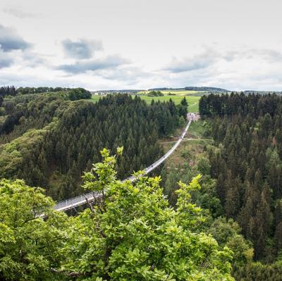 Walk across a rope suspension bridge