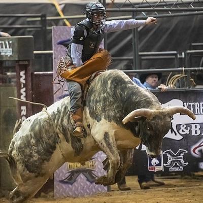 Bull riding