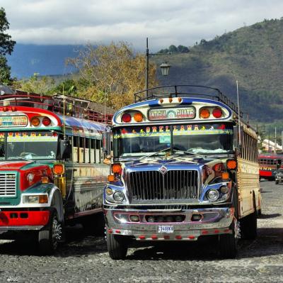 Ride a public bus in another country