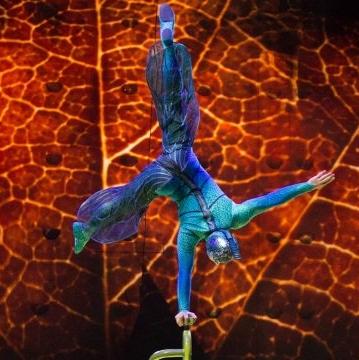 See Cirque du Soleil’s Ovo