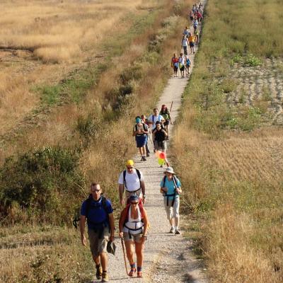 Walk the Camino de Santiago