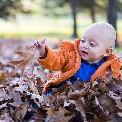 Roll around in a bed of leaves