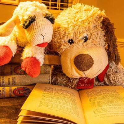 Read a bedtime story