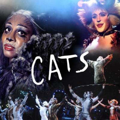 See CATS the musical
