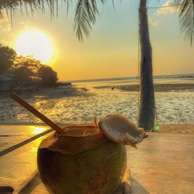 Drink from a coconut on a beach