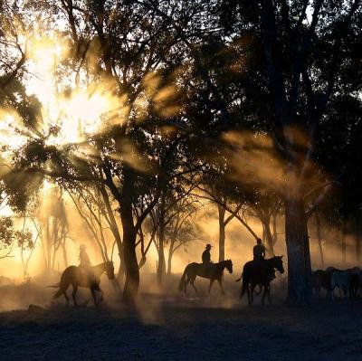 Spend a day at a dude ranch