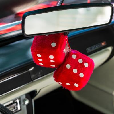 Drive a car with furry dice