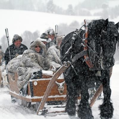 Ride in a horse drawn sleigh