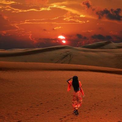 Experience a sunset in the desert