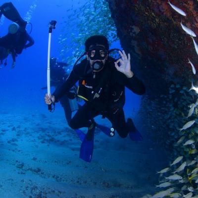 Get PADI certified