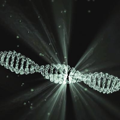 Have my DNA analysed