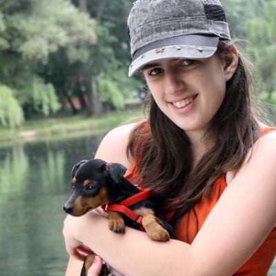 Take home a rescue dog