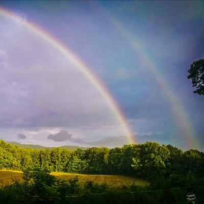 See a double rainbow