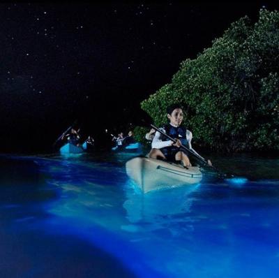 Bioluminescence Night Kayaking