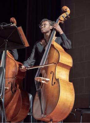 Learn to play the Double Bass