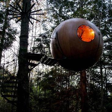 Sleep in a tree sphere