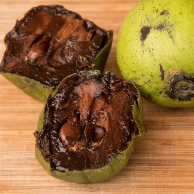 Eat a Black Sapote
