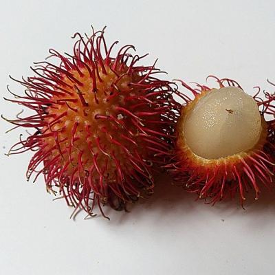 Eat Rambutan