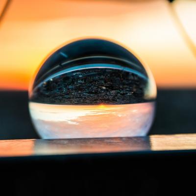 Have a prediction come true