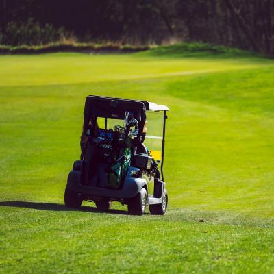 Drive a golf buggy