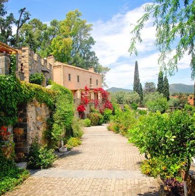 Luxurious Stay at a Boutique Hotel