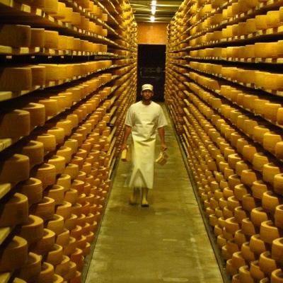 Walk through a cheese factory